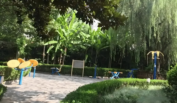 时空穿越之我要回家